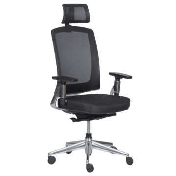 Ергономичен стол ALBI - черен (3520625)