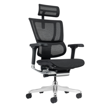 Ергономичен стол ERGOHUMAN ELITE 2 - черна рамка - черен (3520659)