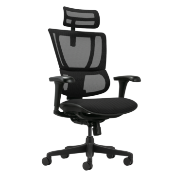 Ергономичен стол ERGOHUMAN IOO BUDGET 2 - черна рамка - черен (3520680)