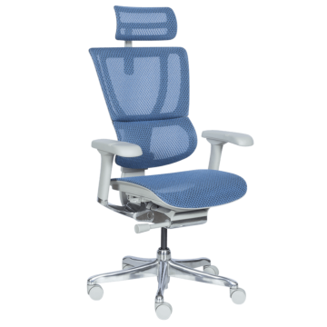 Ергономичен стол ERGOHUMAN IOO ELITE 2 - сива рамка - син (3520672)