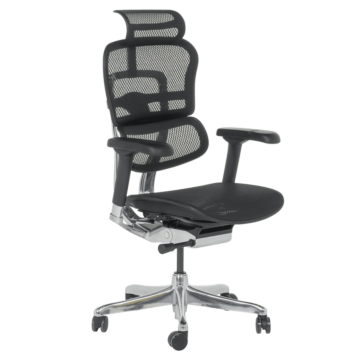 Ергономичен стол ERGOHUMAN ELITE 2 - черна рамка - черен (3520660)