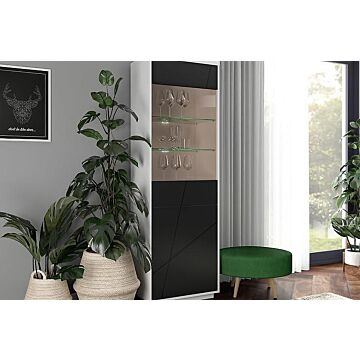 Витрина FORN REG1D1W корпус бял лак/фронт черно мат  (007.011.0021)