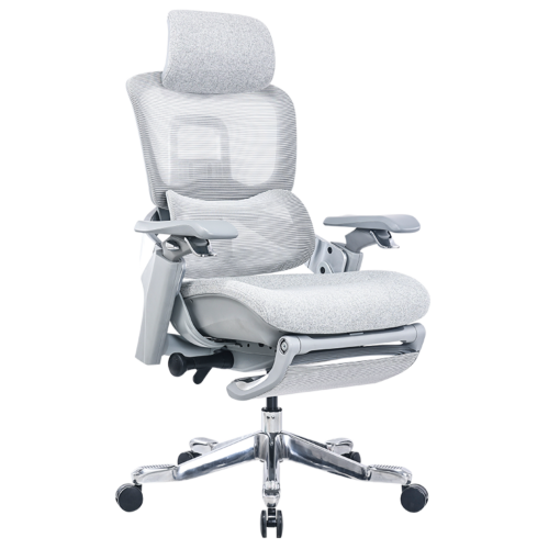 Ергономичен стол DOLE W - сив (3520565)