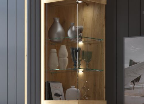 LED CLIPS_2PKT осв.CORV02,03,04,SNNV02,CTUV01,03  (088.002.0049)